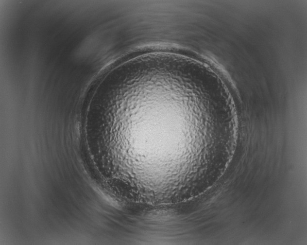 X0000083990063200702232122