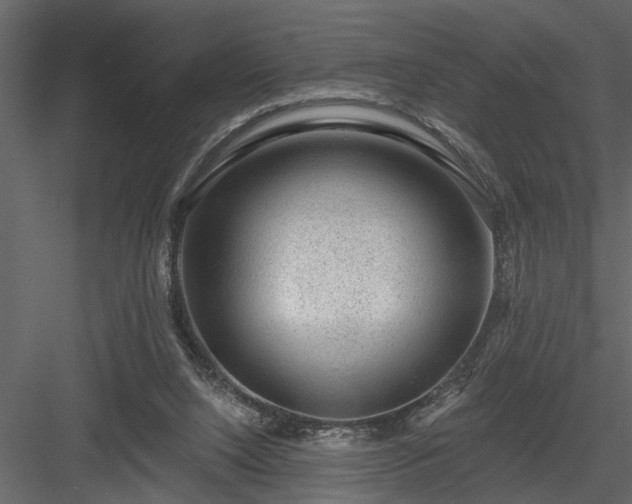 X0000083990064200702232122