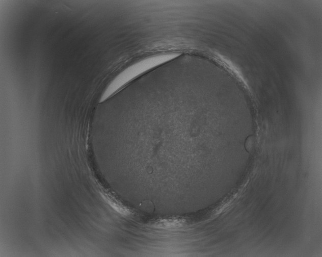 X0000083990065200702232122