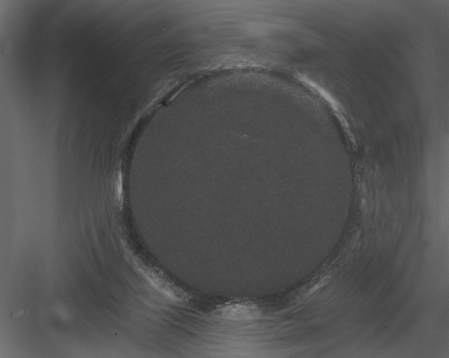 X0000083990067200702232122