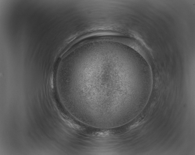 X0000083990068200702232122