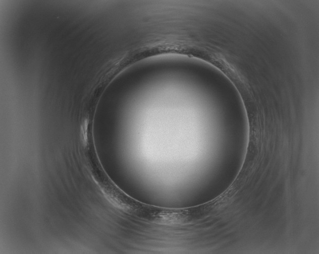 X0000083990070200702232122