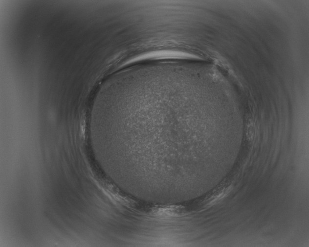 X0000083990072200702232122