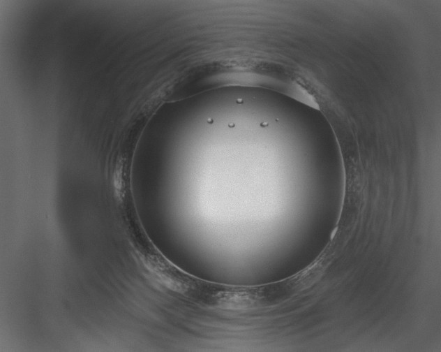 X0000083990074200702232122