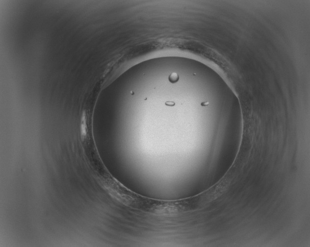 X0000083990075200702232122