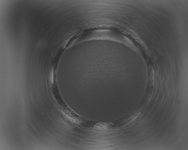 X0000083990076200702232122