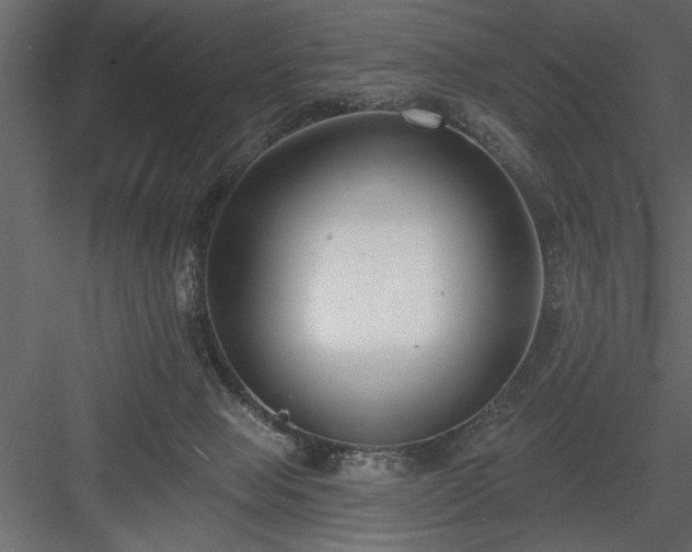 X0000083990077200702232122