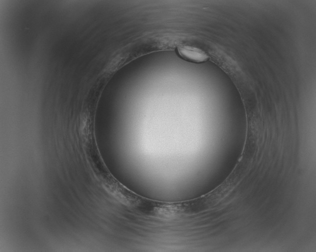 X0000083990079200702232122