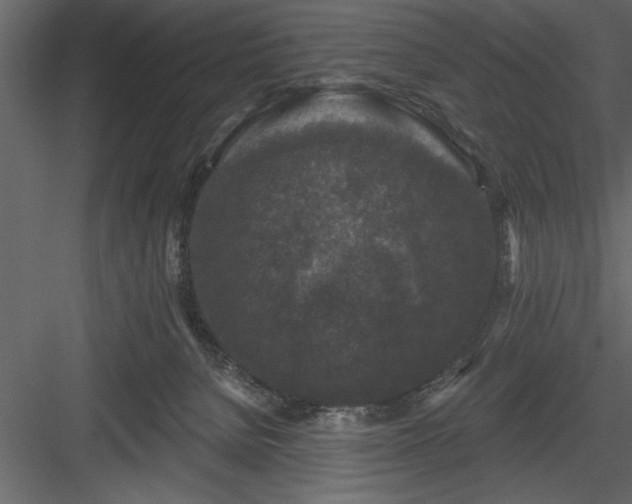 X0000083990080200702232122