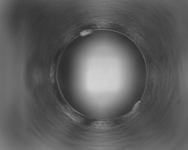 X0000083990082200702232122