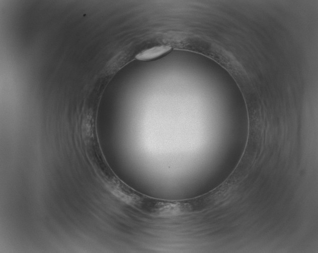 X0000083990083200702232122