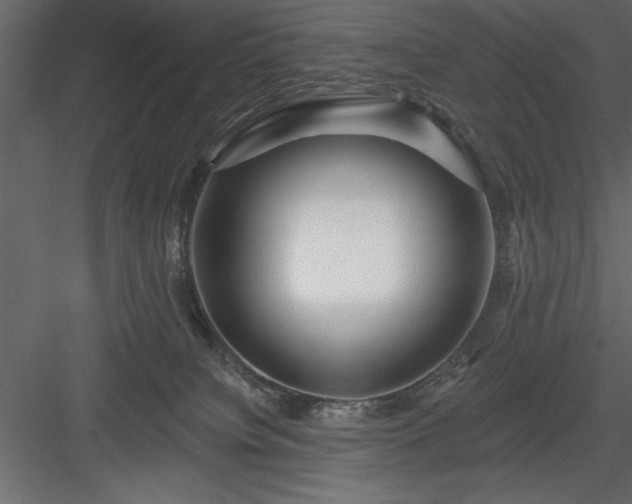 X0000083990084200702232122