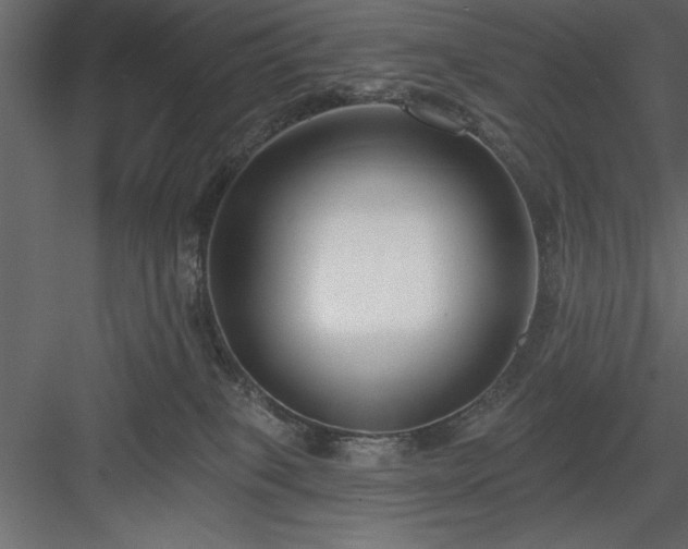 X0000083990085200702232122