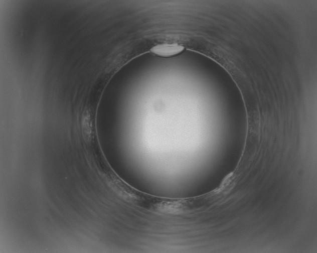 X0000083990086200702232122