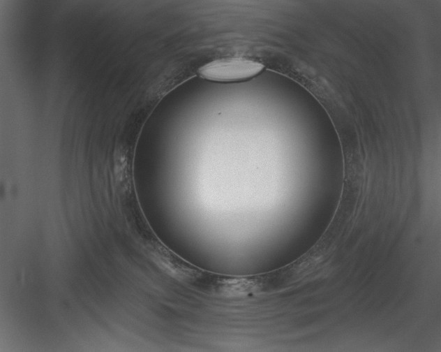 X0000083990087200702232122