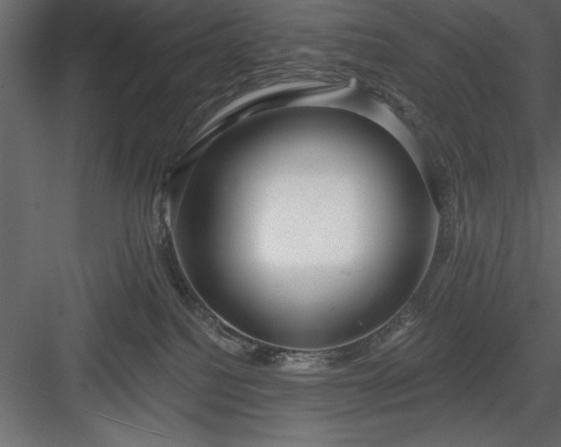 X0000083990088200702232122