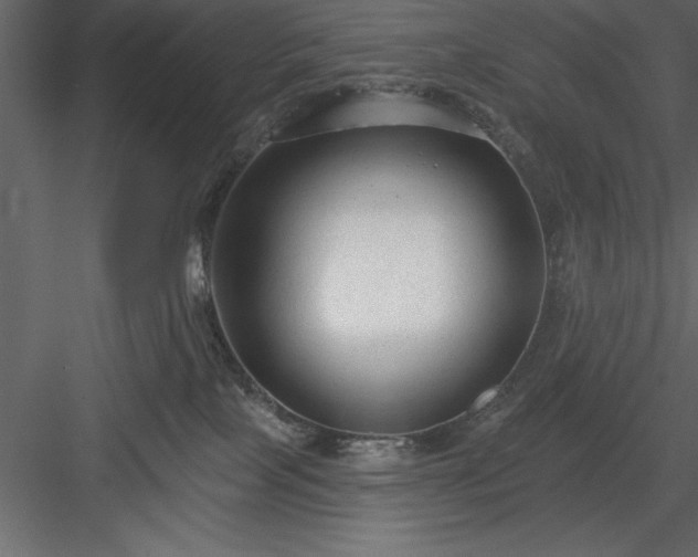 X0000083990089200702232122