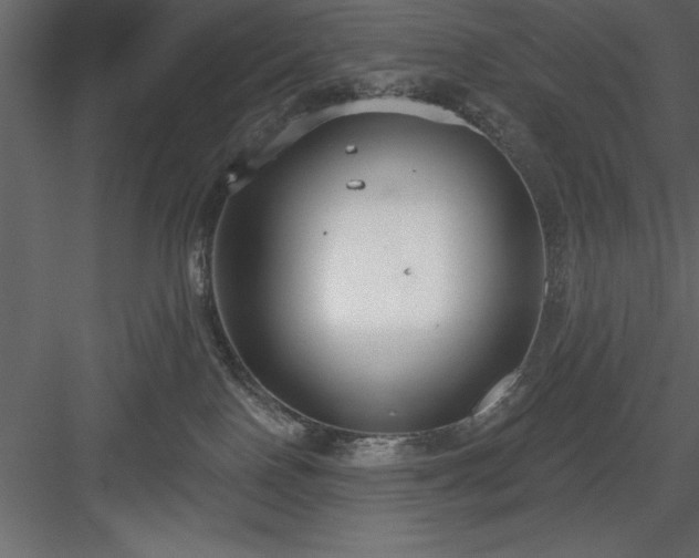 X0000083990090200702232122