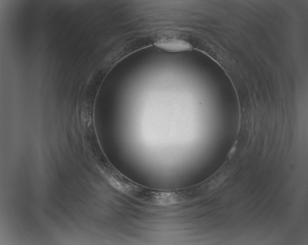 X0000083990091200702232122