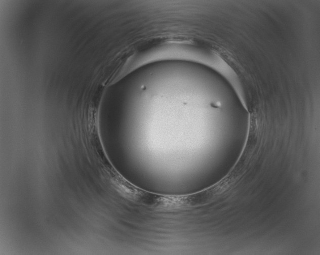 X0000083990093200702232122