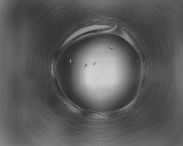 X0000083990094200702232122