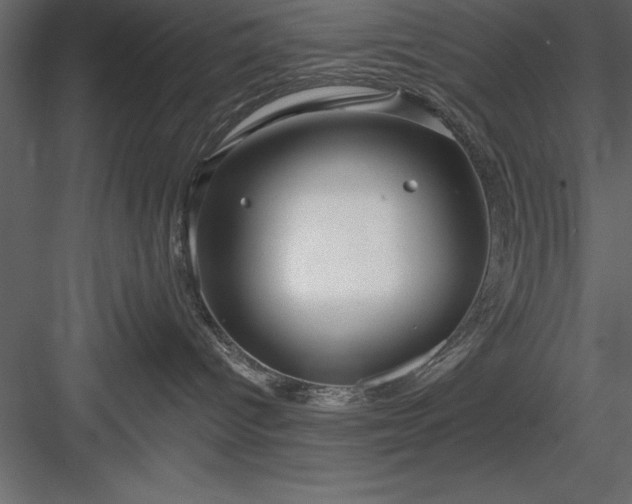 X0000083990096200702232123