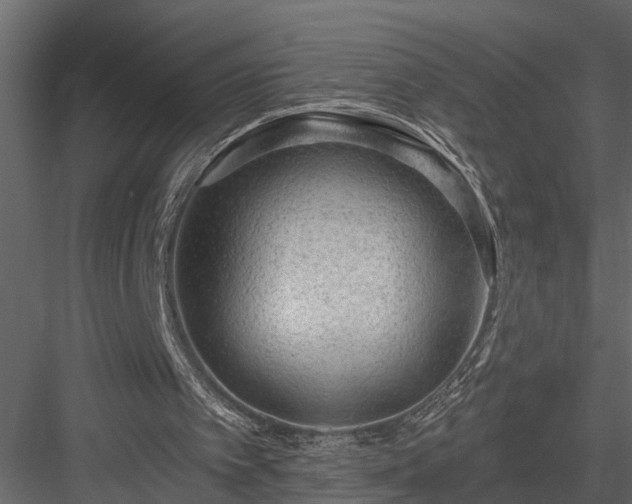 X0000083990097200702232122