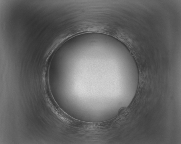 X0000083990098200702232122