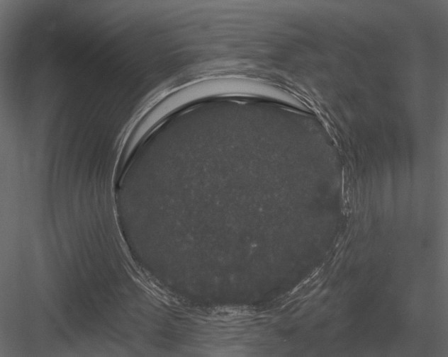 X0000083990099200702232122