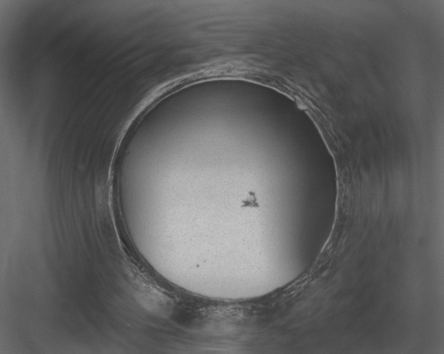 X0000083990100200702232122