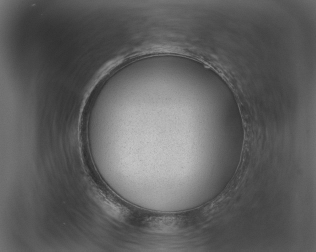 X0000083990104200702232122