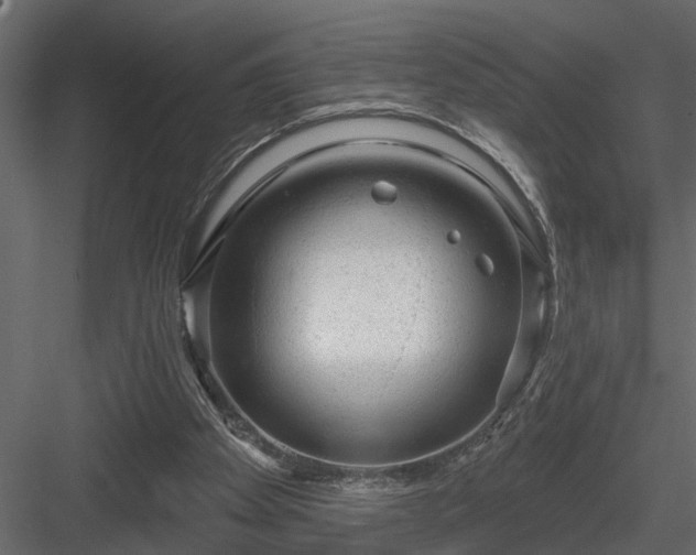 X0000083990105200702232122