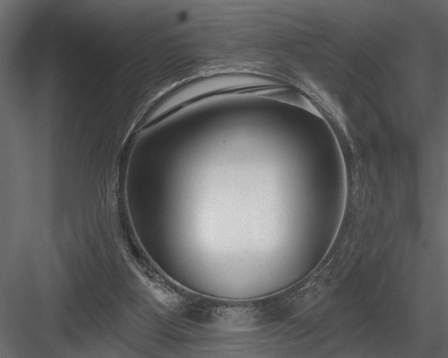 X0000083990107200702232122