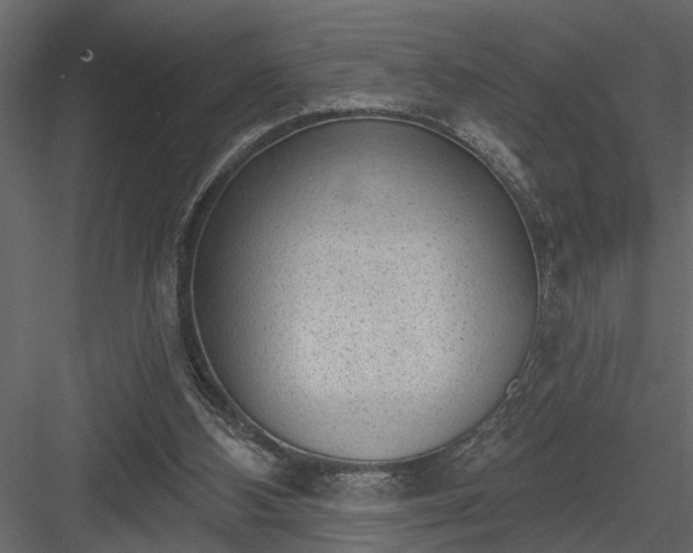 X0000083990108200702232121