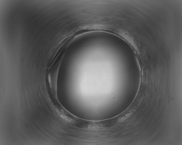 X0000083990109200702232121