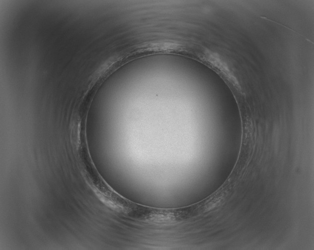 X0000083990110200702232121