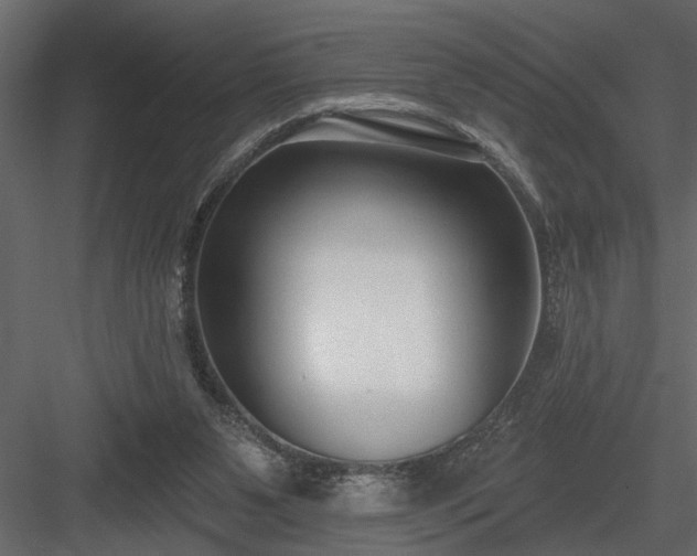 X0000083990111200702232121