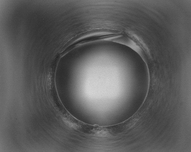 X0000083990113200702232121