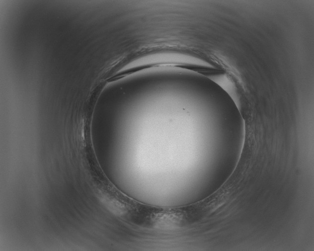 X0000083990115200702232121