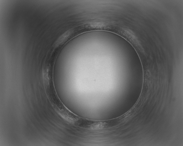 X0000083990116200702232121