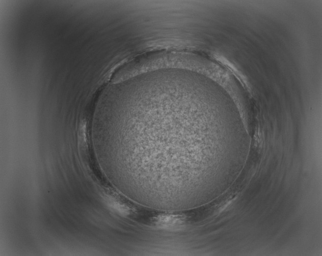 X0000083990117200702232121