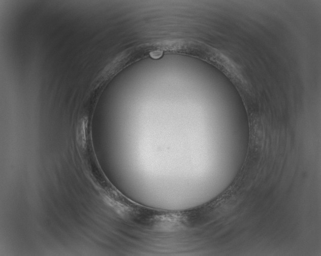 X0000083990118200702232121