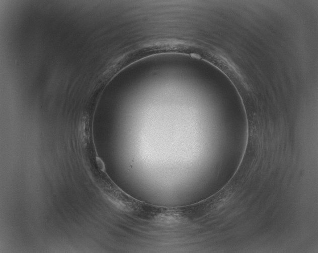 X0000083990119200702232121