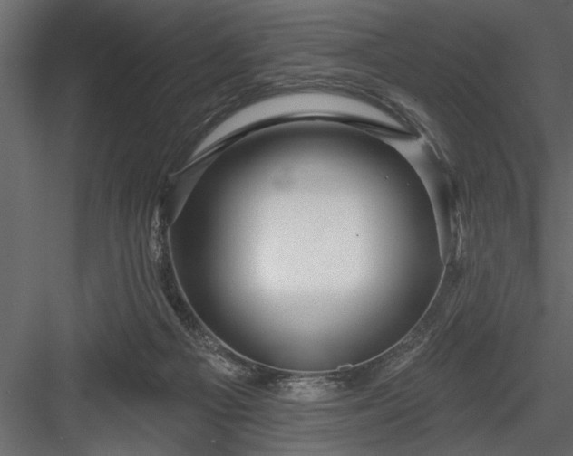 X0000083990121200702232121