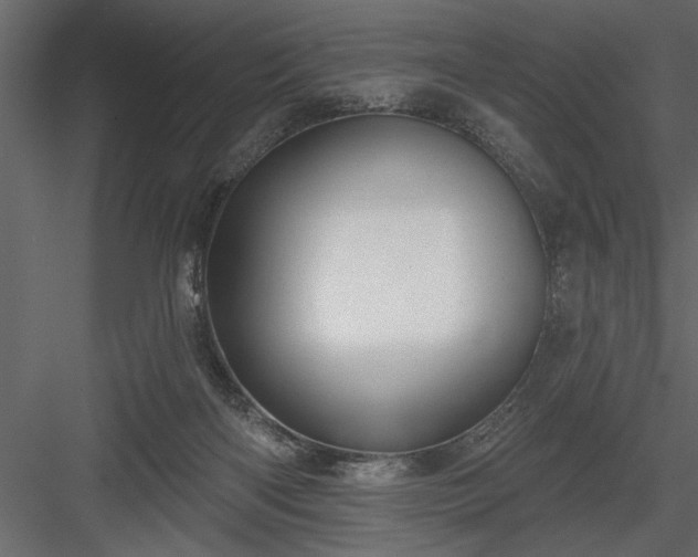 X0000083990122200702232121