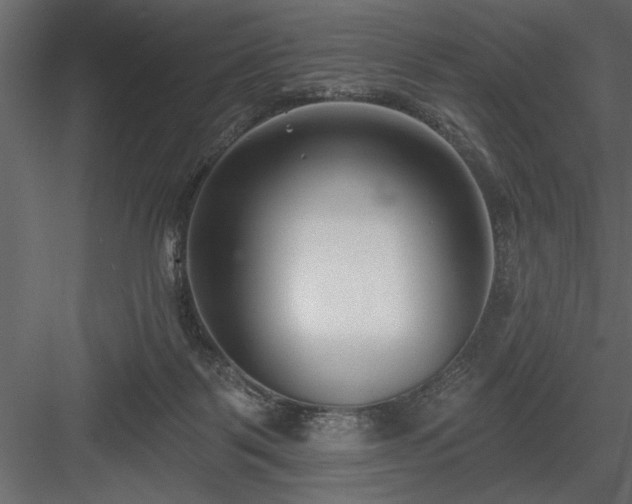 X0000083990123200702232121