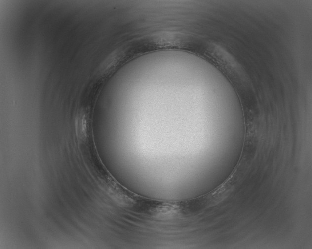 X0000083990124200702232121