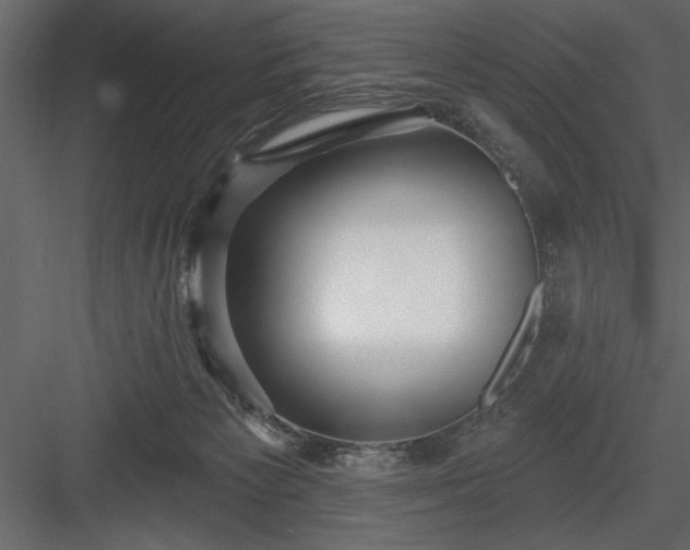 X0000083990125200702232121