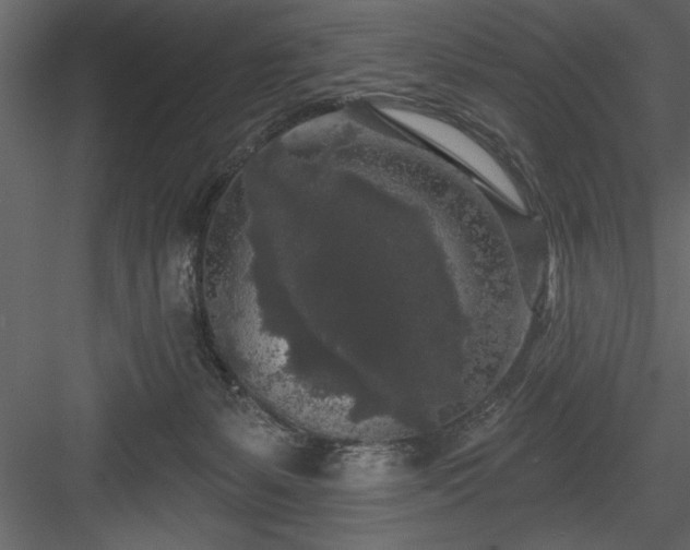 X0000083990127200702232121