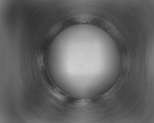 X0000083990128200702232121